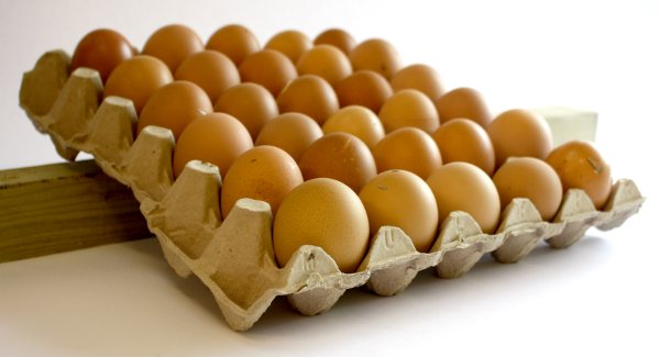 Opbevar dine æg på en bakke, og brug en træblok til at vippe dem frem og tilbage hver dag.