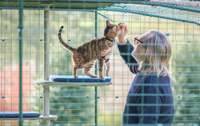 En mand og en kat inde i en katteindhegning nyder det skræddersyede udendørs kattetræ
