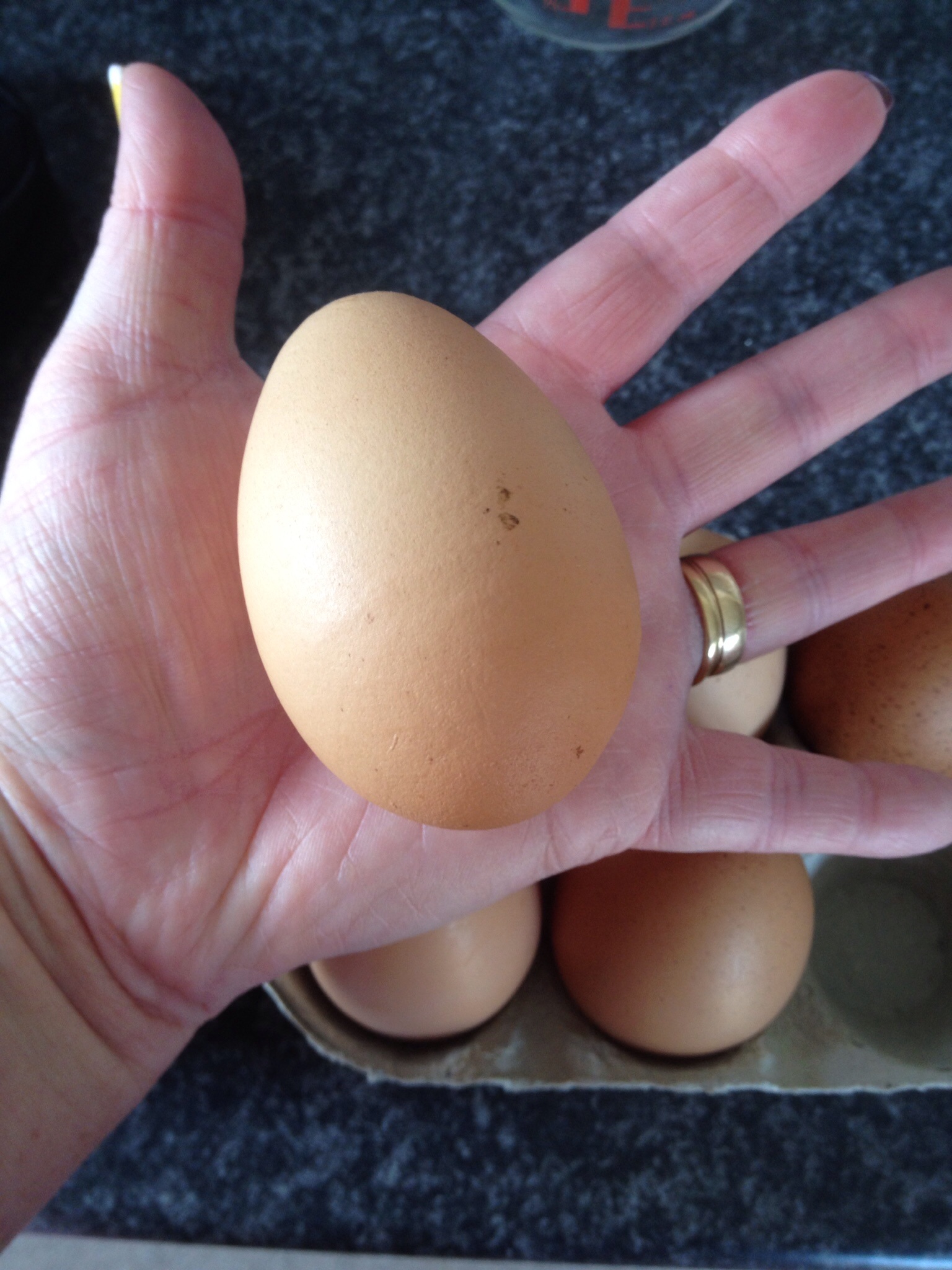 Rachels Rhode Island Red høner lægger fantastiske gigantiske æg