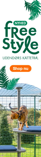 To røde katte leget på et udendørs Omlet Freestyle kattetræ