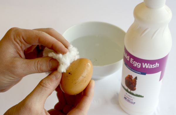 Du bør rense dit æg med et særligt rensemiddel beregnet til æg.